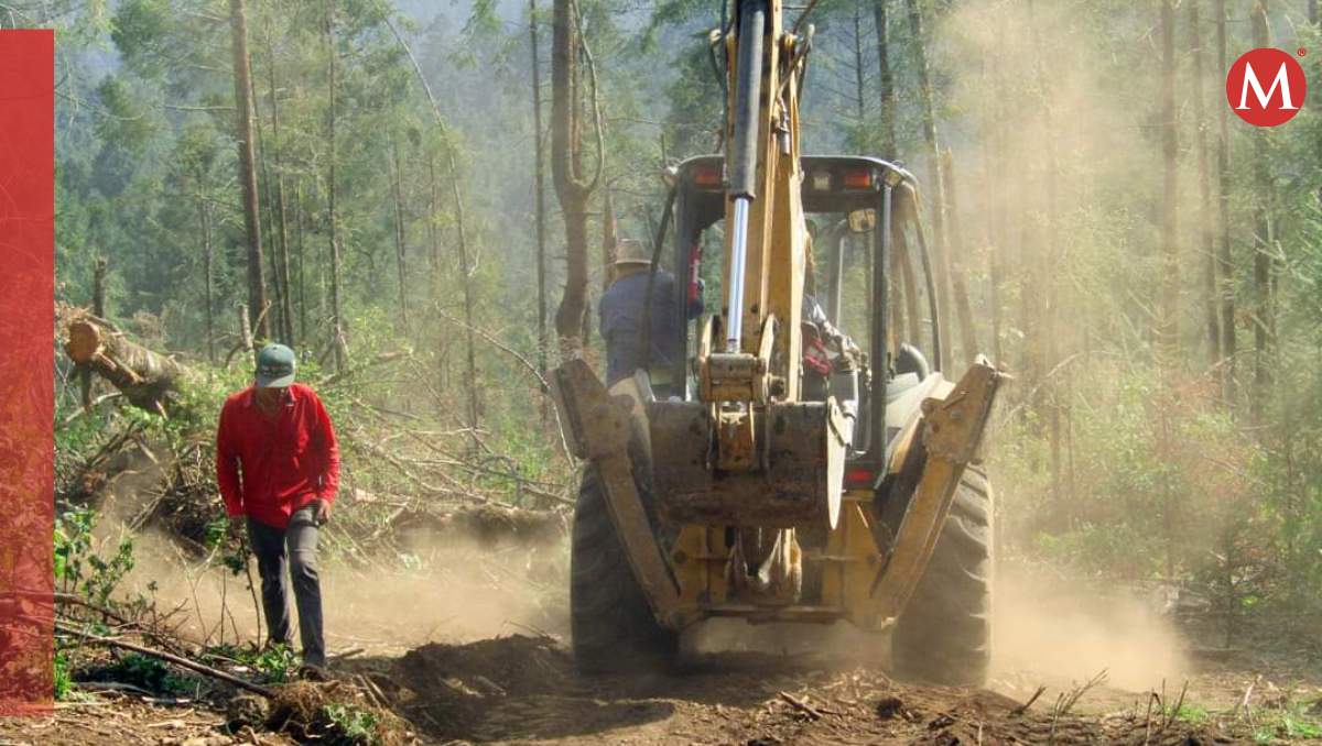 Pobladores y autoridades de Xonacatlán realizan limpieza en bosques| Especial