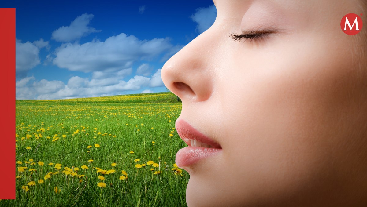 Sinusitis. Qué es y síntomas