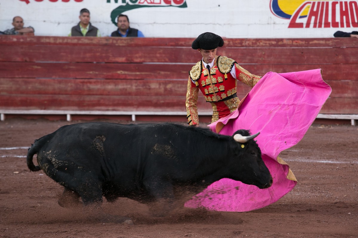 Para los toreros un arte, para los defensores de los animales, cruedad; un tema que abre debate entre expertos y aficionados. | ARCHIVO