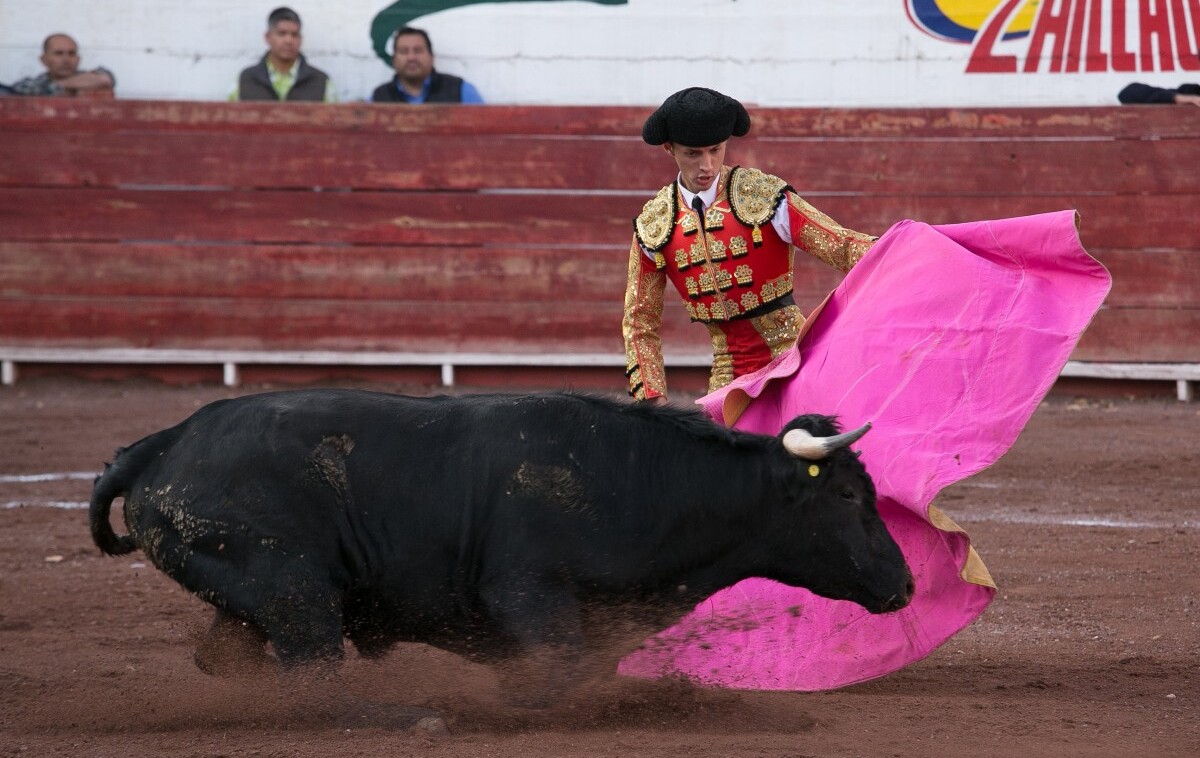 Corridas de toros: Debate entre cultura y arte o maltrato y crueldad- Grupo Milenio