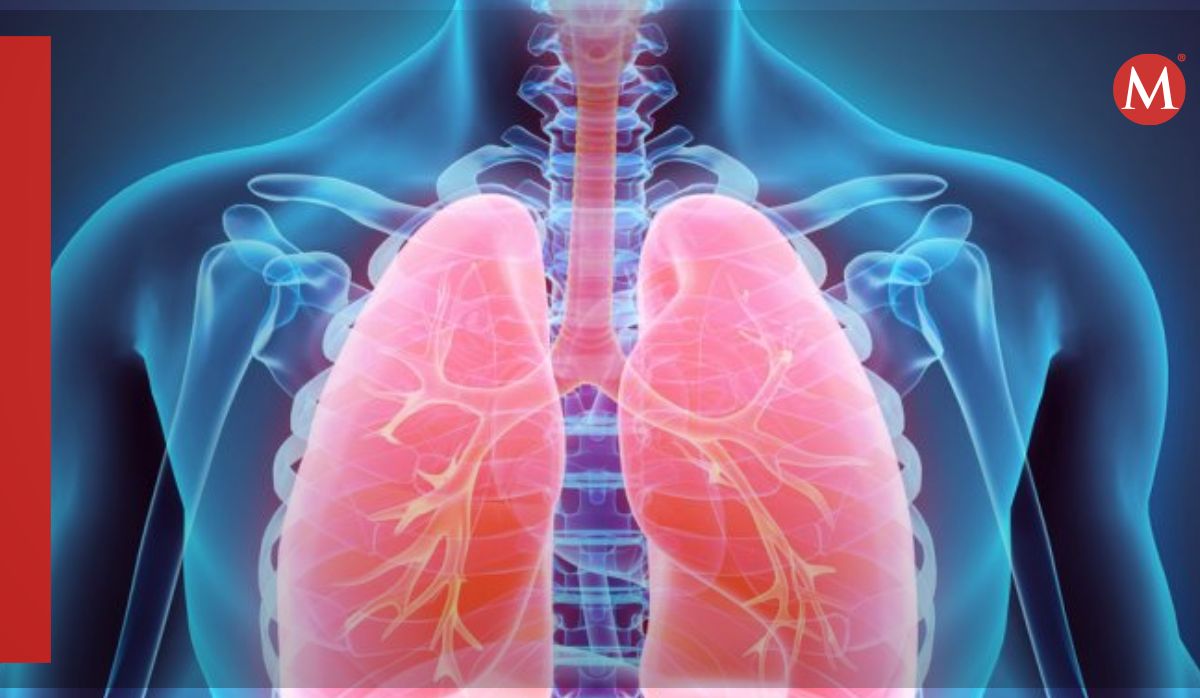 Encuentran células que protegen las vías respiratorias