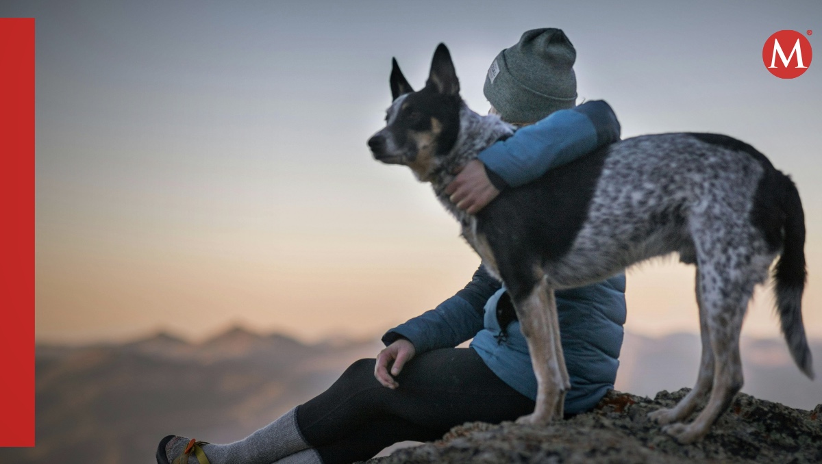 Las mascotas se han compartido en una parte muy importante de la vida de las personas | X