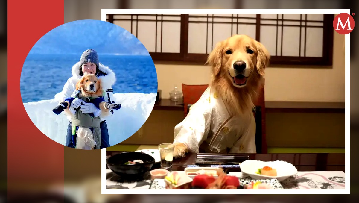 Perrito se fue de vacaciones a Japón. | ESPECIAL