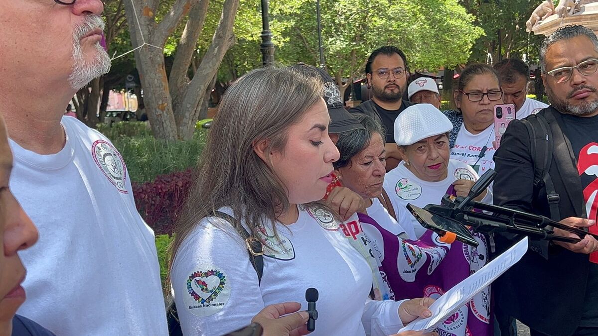 Desaparecidos en Querétaro: esfuerzos y desafíos en la búsqueda | Especial