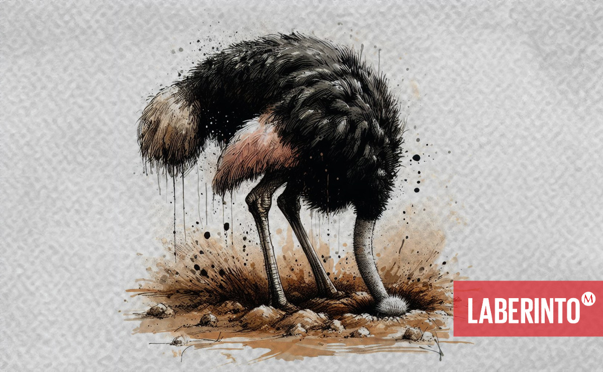 La ignorancia más lesiva es aquella que ignora que ignora o que se complace en ignorar. (Ilustración: Simón Serrano)