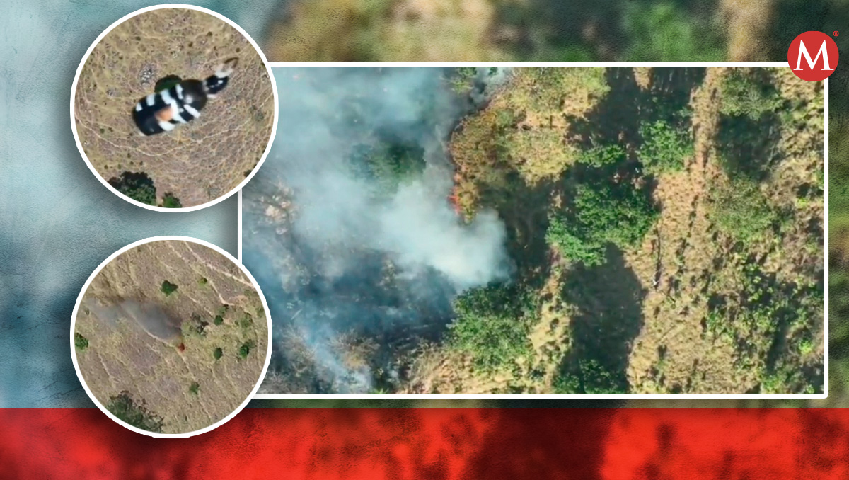 Guerrero bajo fuego: Pobladores enfrentan ataques incendiarios de La Familia Michoacana | Especial