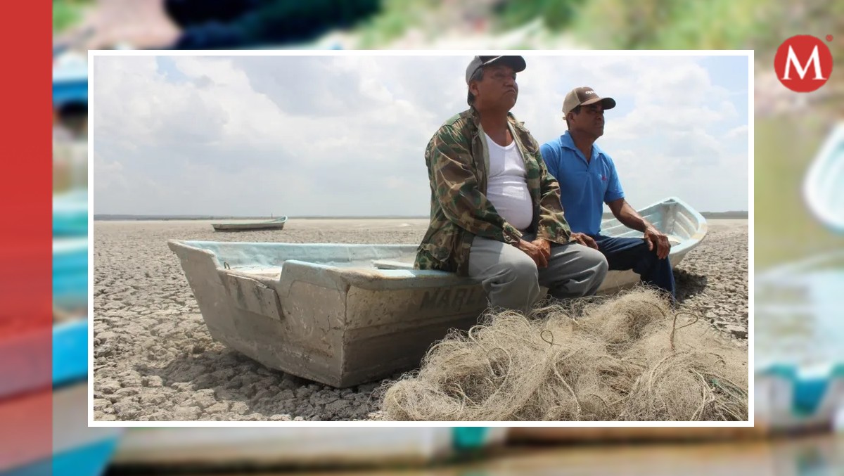 Sequía ya disminuyó especies nativas de laguna ce sur de Tamaulipas