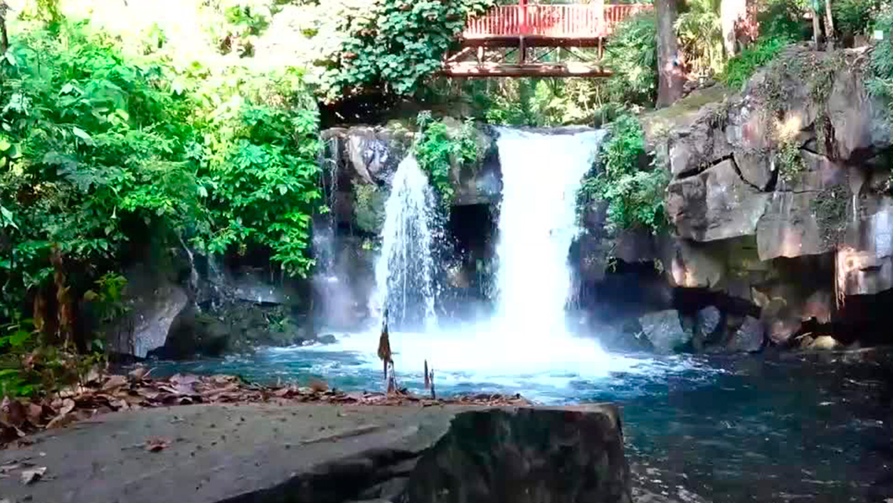 Conoce el frondoso bosque del Parque Nacional de Uruapan | Conexión Milenio