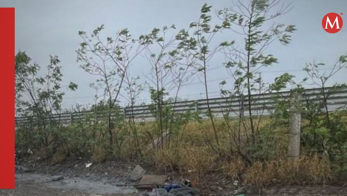 Una vez que los policías arribaron, confirmaron que se trataba de un cuerpo humano | Especial