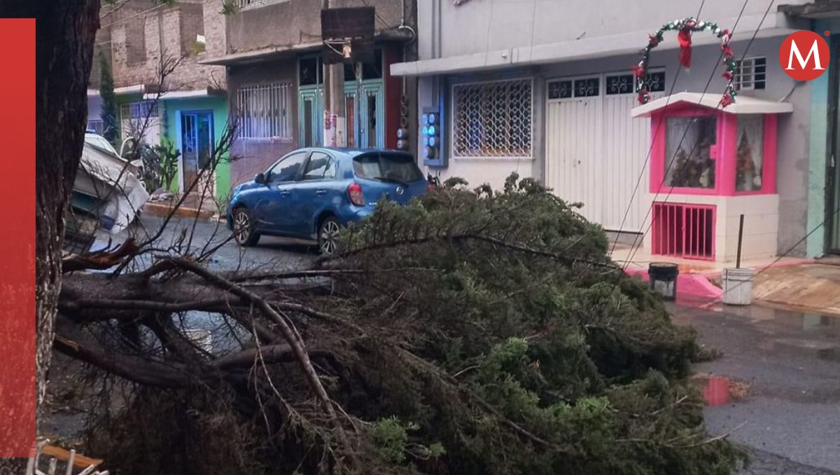 Árbol caído en calle de Nezahualcóyotl. Foto: (Especial)