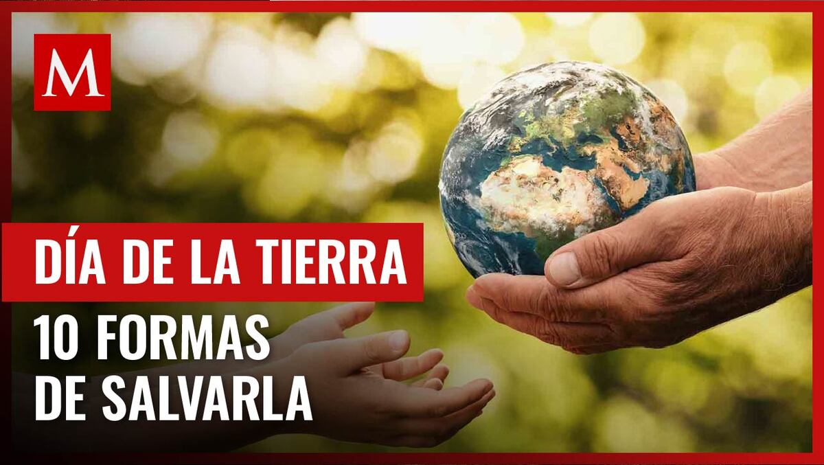Con estos diez consejos puedes combatir la contaminación en el Día de la Tierra