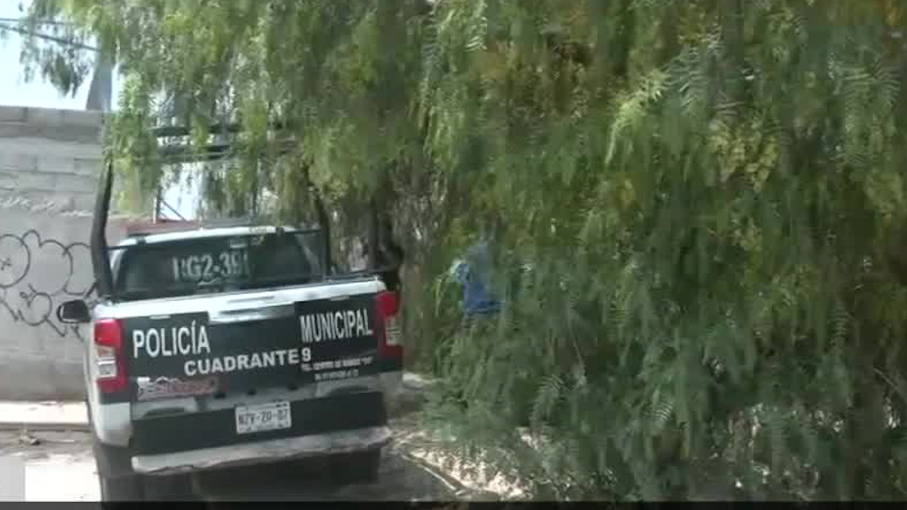 Hallan cuerpo de una mujer en barranca de Ecatepec,Edomex