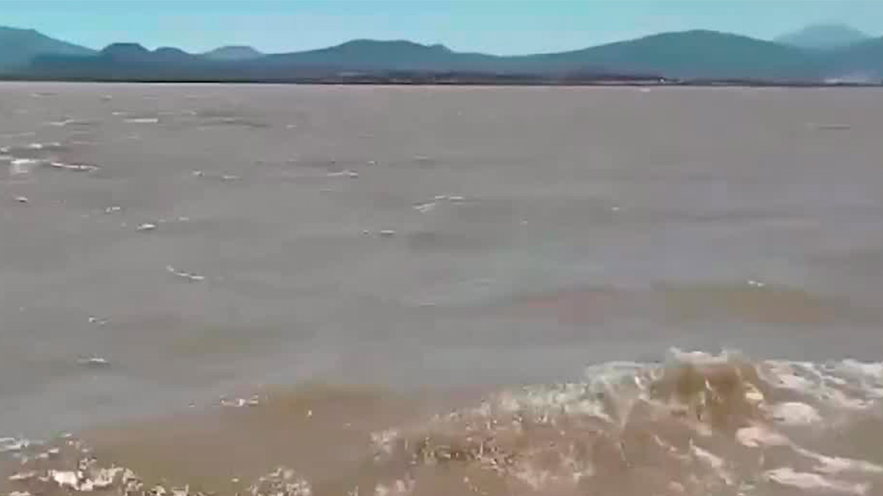Marina se suma a las labores de limpieza del lago de Pátzcuaro en Michoacán