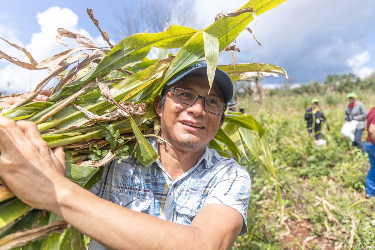 Milpa por la vida (Milpa for Life) es un prorama que busca aliviar los obstáculos que enfrentan los hogares rurales. Especial