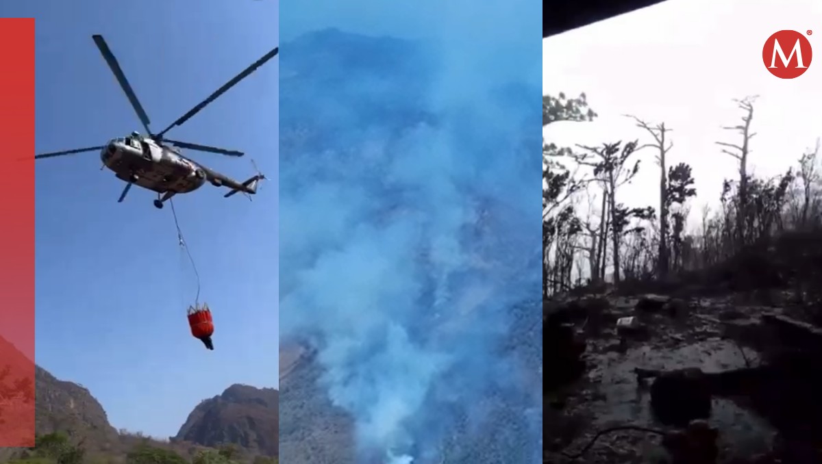 Brigadistas celebran avances contra el fuego en los Chimalapas de Oaxaca | Especial