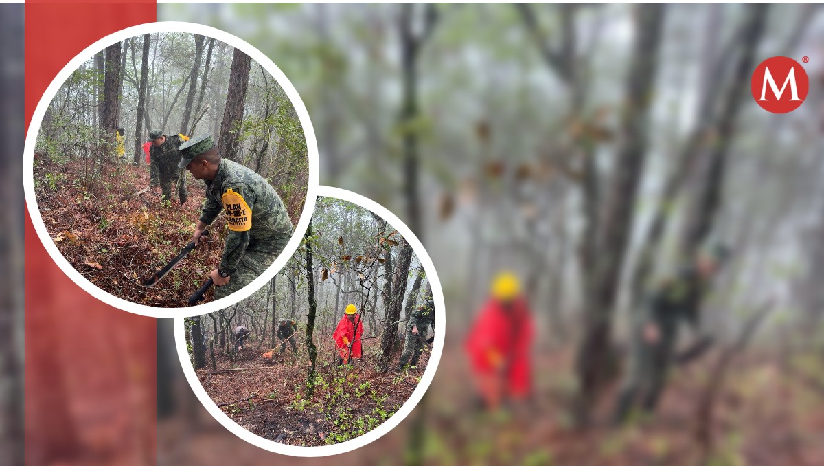 Controlado 80 por ciento del fuego de incendio en Güemez