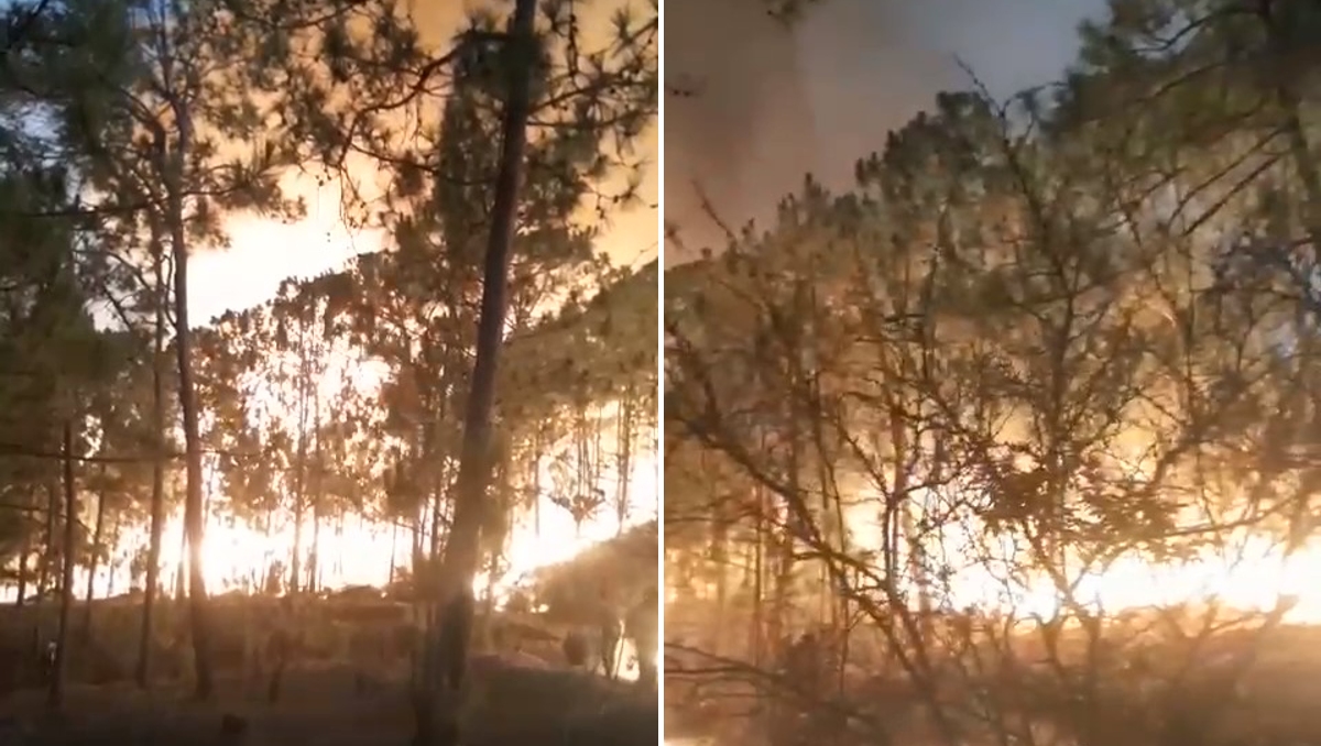 Debido a los fuertes vientos y a que la región sufre de sequía las tareas para combatir el incendio se han dificultado. Especial
