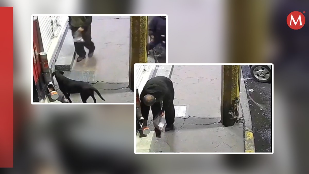 Graban a hombre robando croquetas a perrito. Foto: (Especial)