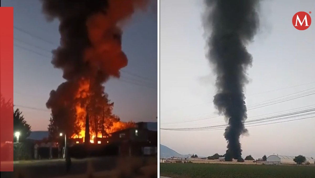 Incendio en recicladora de pet en Tenango del Valle. Foto: (Especial)