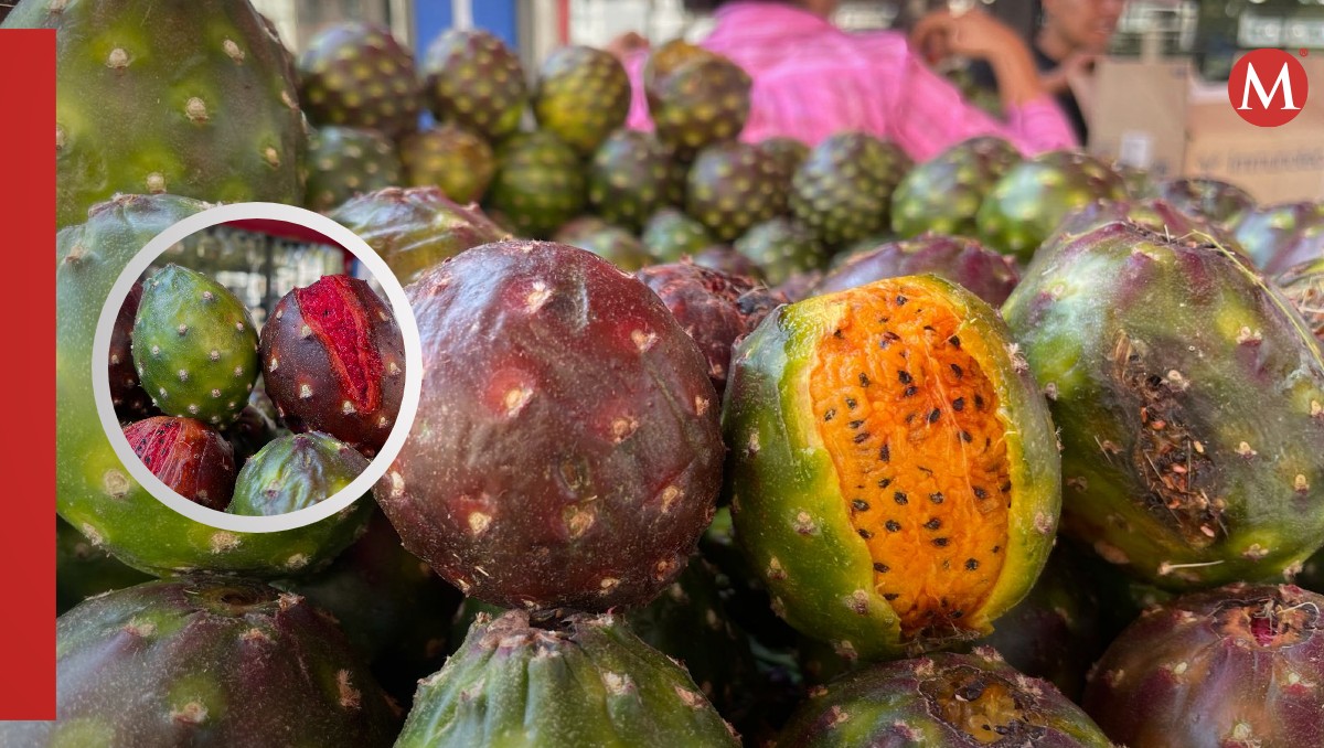 Pitayas a la venta en Guadalajara (Foto: Roberto Hurtado | Diseño: Milenio)