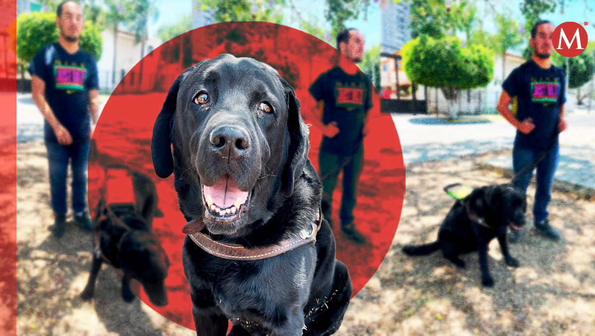 Bennett es el perro guía de Helí desde hace cinco años (Karla Victoria Rodríguez: Diseño Oscar Avila)