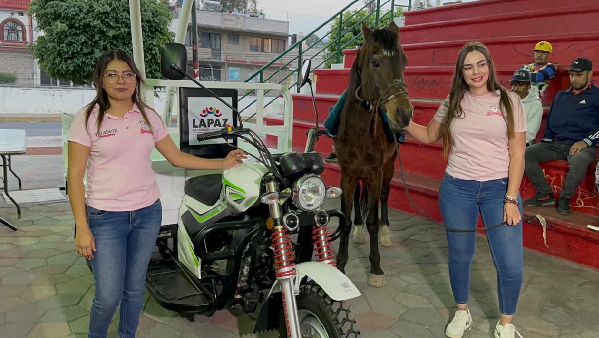 Para evitar que estos animales sigan trabajando, el gobierno otorga motocarros que los remplace. Foto: (Zuleyma García)