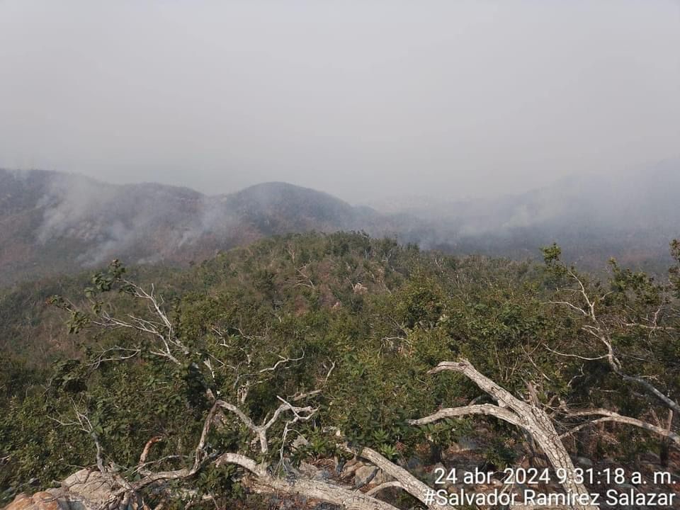 Incendio forestal en el cerro del Alquitrán, Guerrero/ Especial