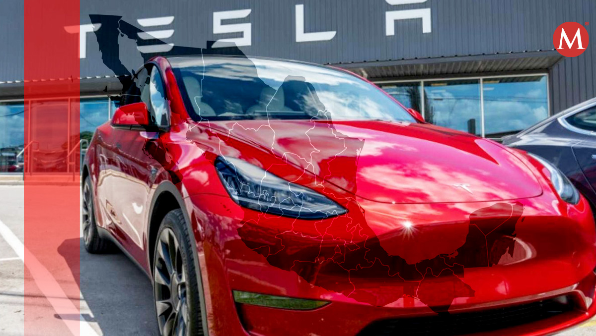 Tesla reduce el costo de sus vehículos en México y otros países ante la competencia | MILENIO