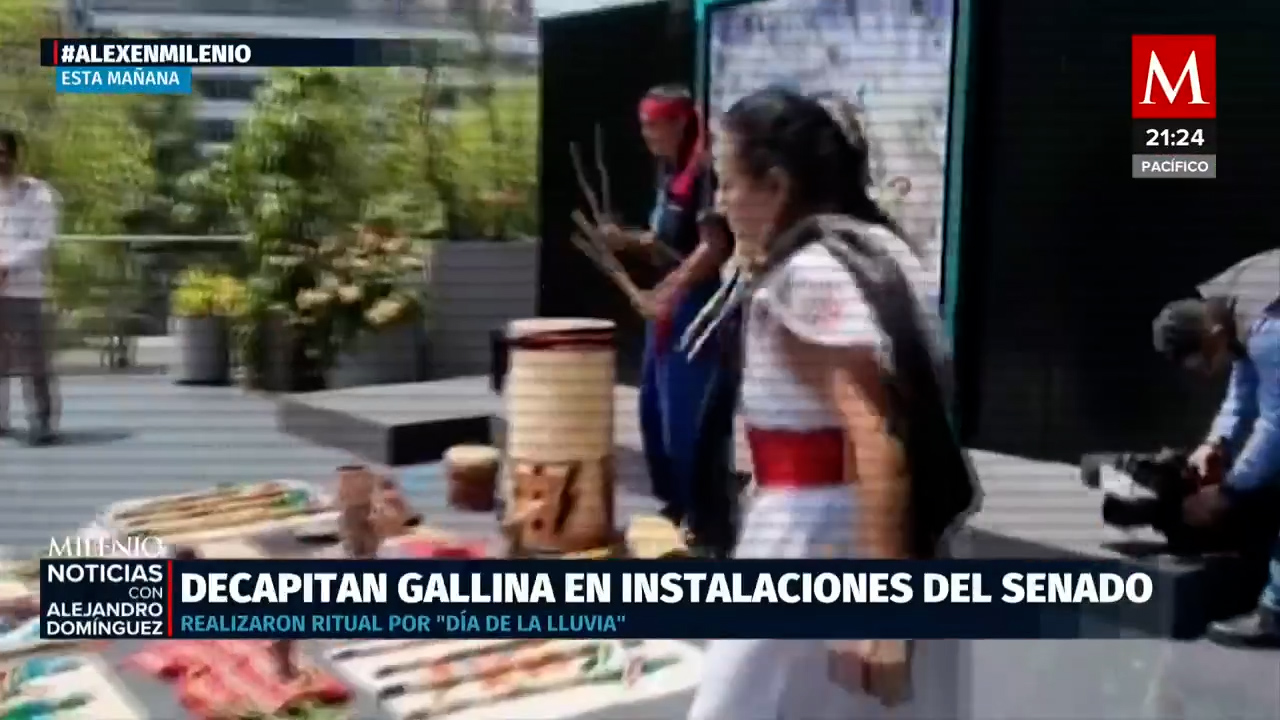 Polémica en el Senado por el ritual con sacrificio de gallina organizado por el senador de Morena