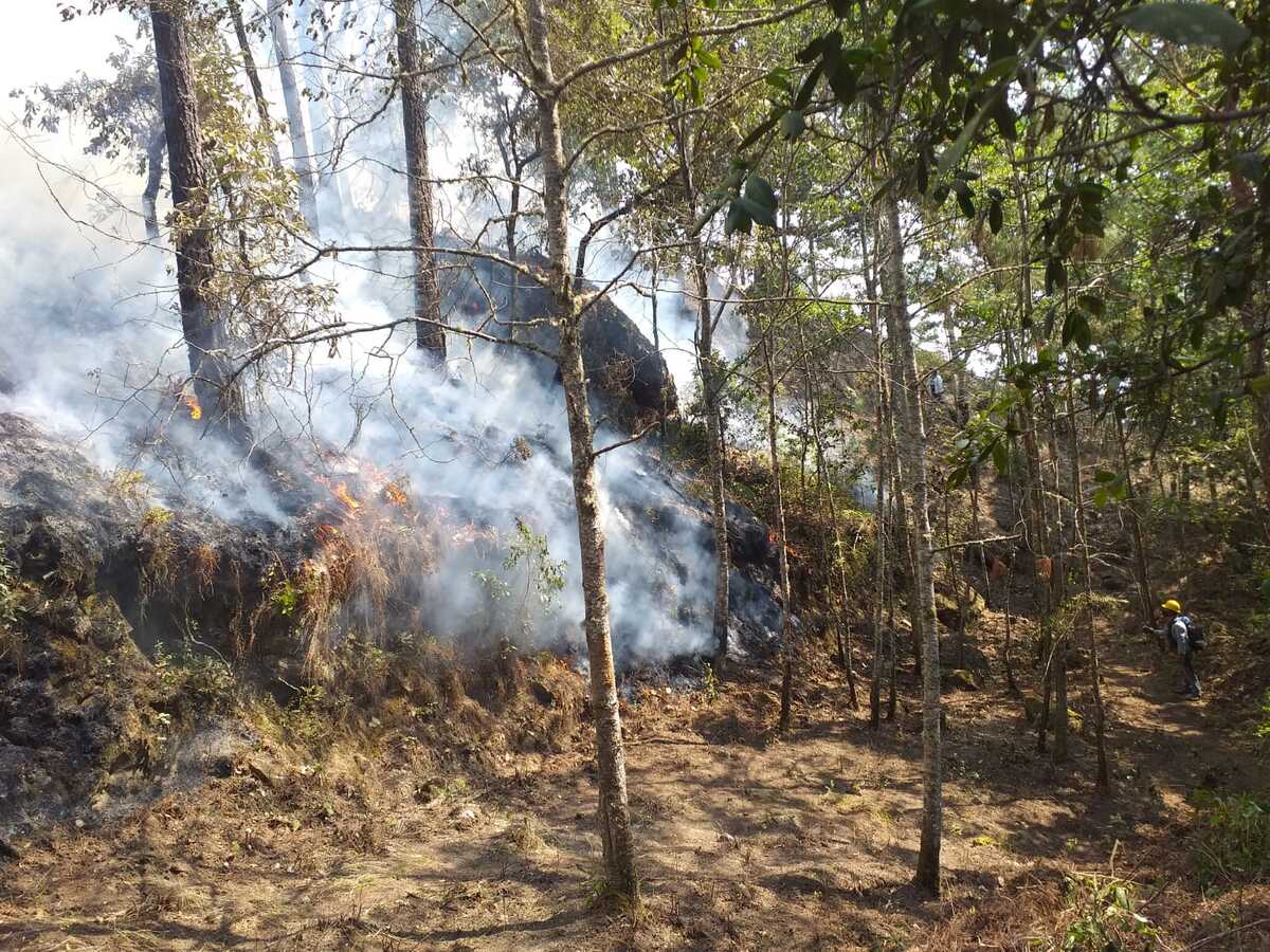Guerrero en llamas: Comunidad de Azinyahualco enfrenta devastador incendio forestal | Especial