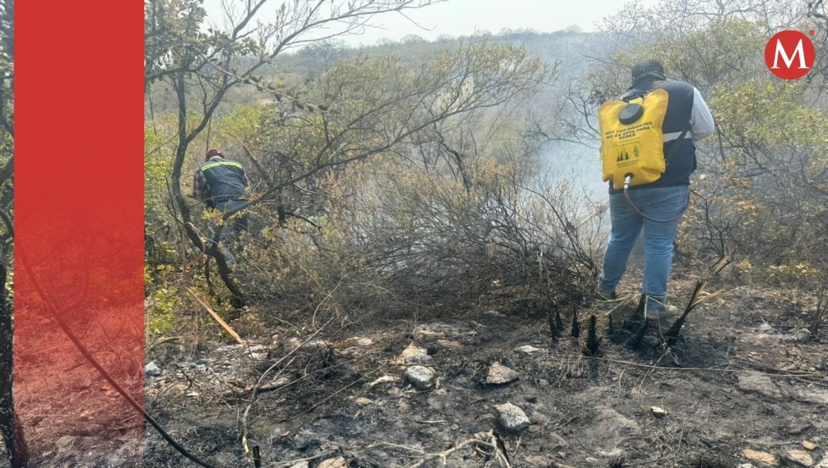 Liquidan incendio forestal en Ahuatempan y Tepexi, Puebla | Especial