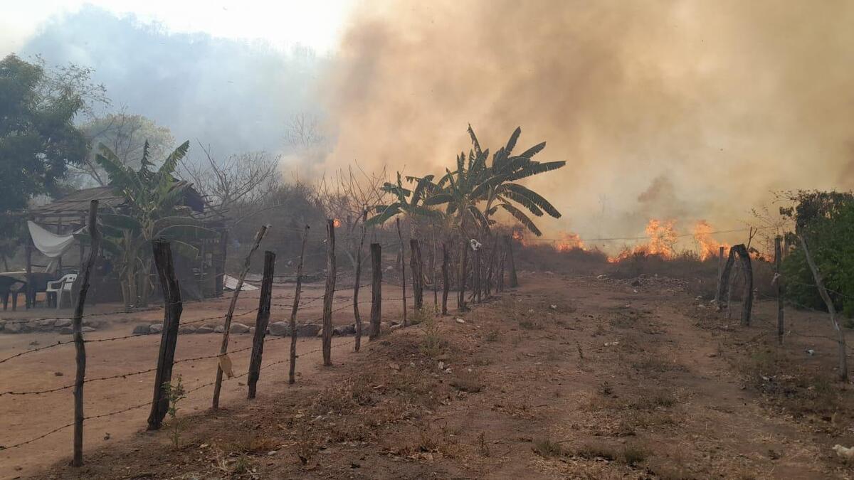 Ante las sequías se han desatado algunos incendios en las zonas con altas temperaruras. | Especial