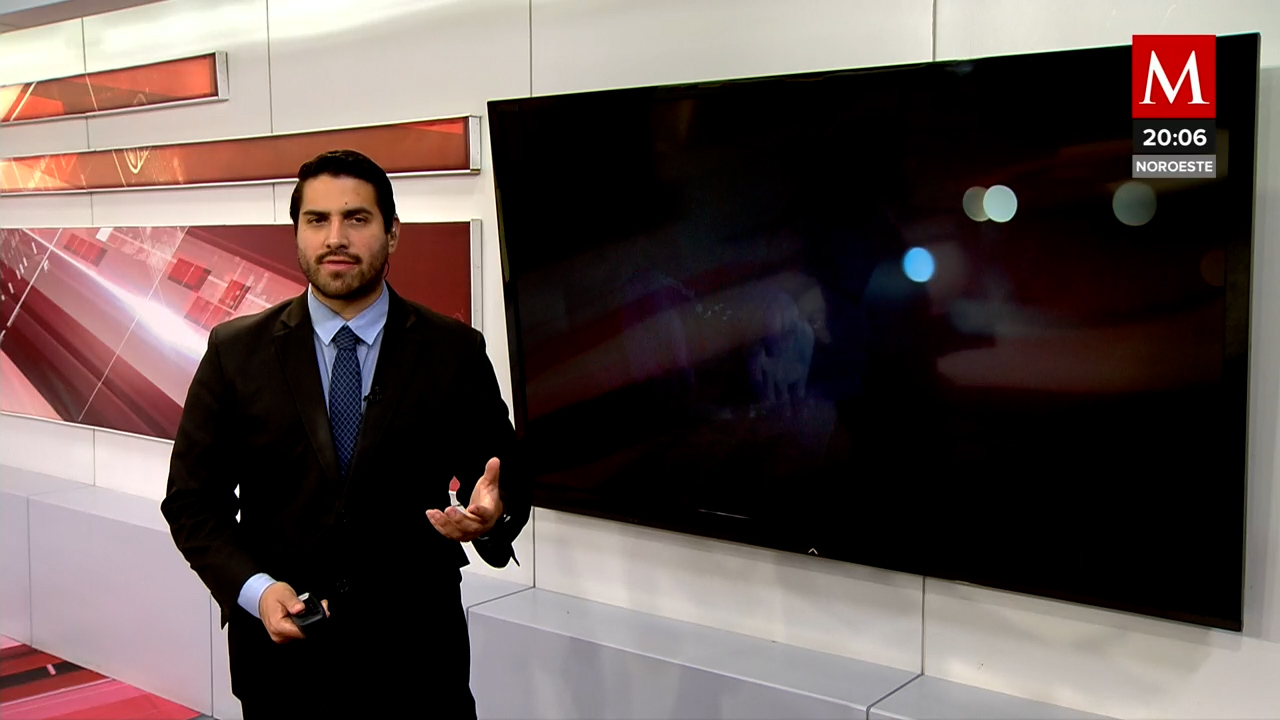 La Fiscalía de Jalisco investigará la muerte de candidato del Partido Verde