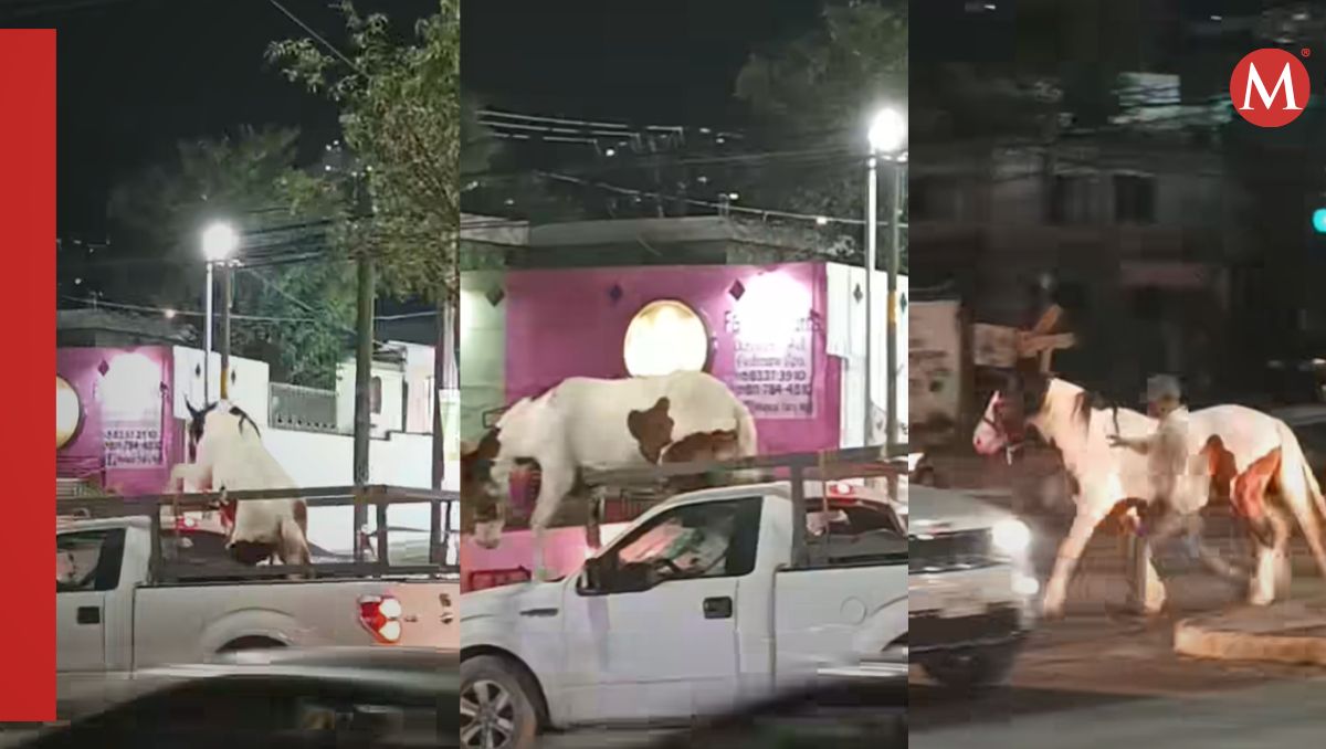 El hecho se registró durante la noche del sábado sobre la avenida Eloy Cavazos y Lázaro Cárdenas | Especial