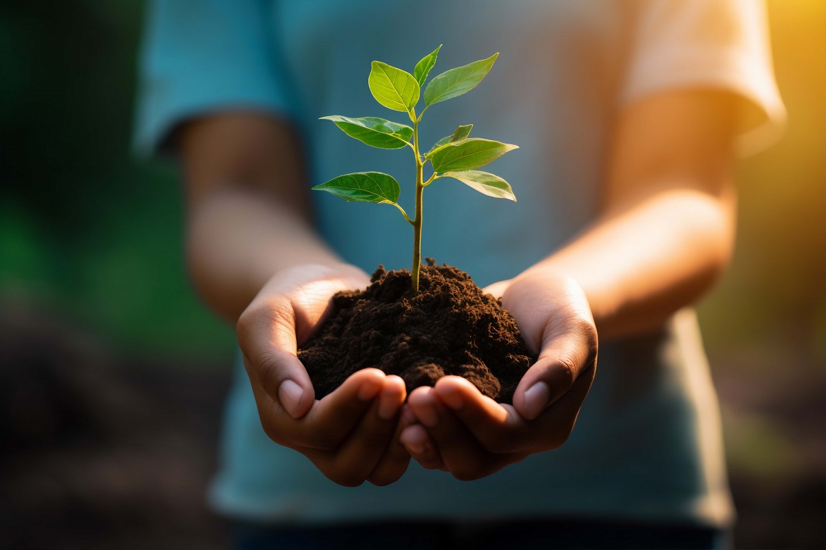 La composta ayuda a que las plantas crezcan mejor, al igual que se reutilizan los desechos orgánicos (freepik.es)