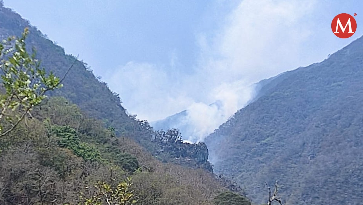 Incendio forestal en Tamaulipas.