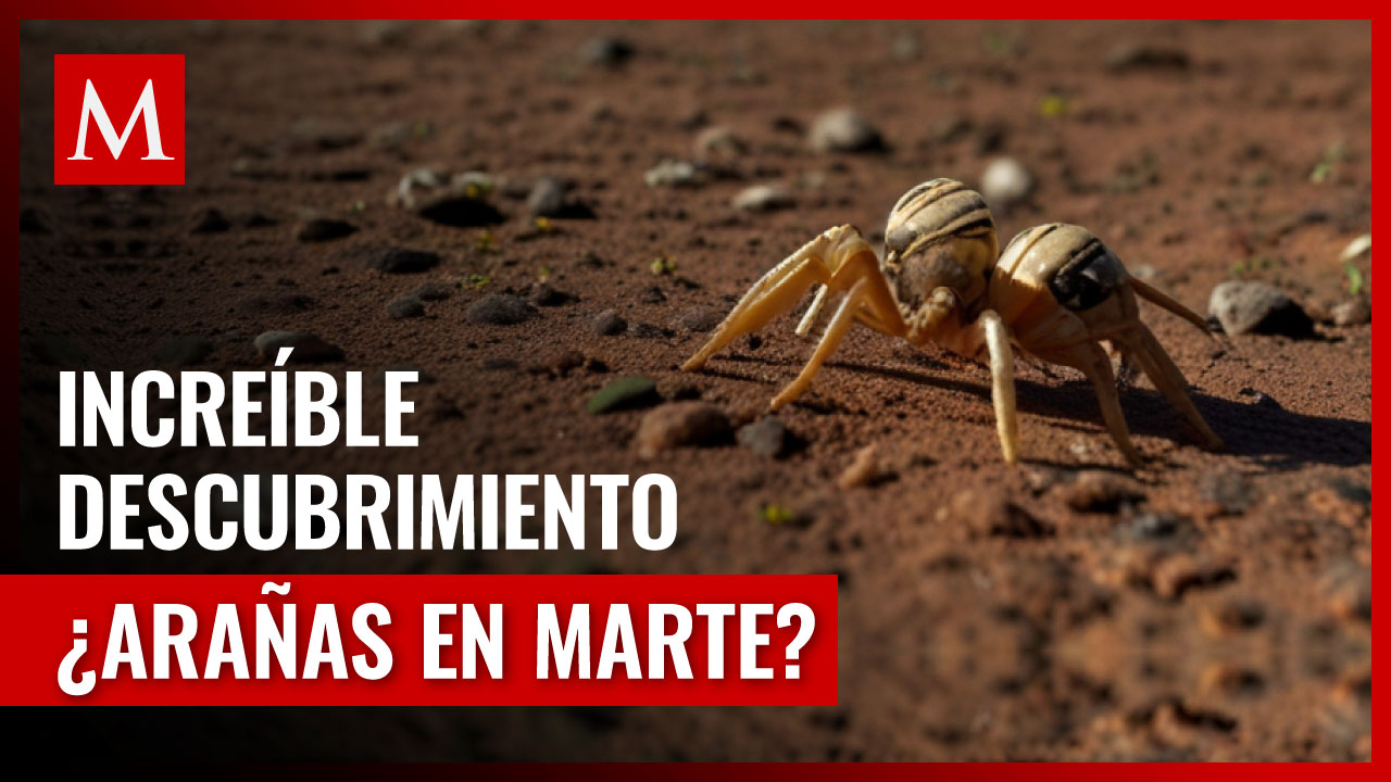 Marte invadido por 'arañas': ¿Qué significa este fenómeno espacial?