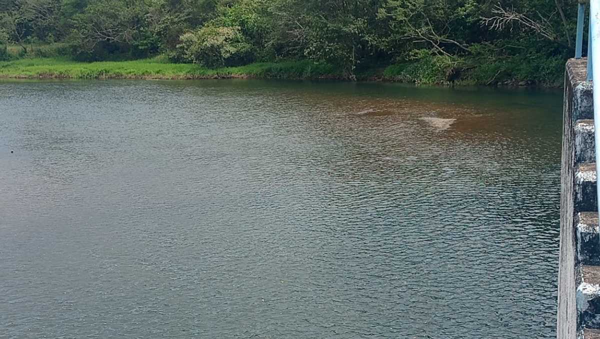 La presa cuenta con 64 kilómetros de tubería y se alimenta de los arroyos Ocotal y Texizapan, que reportan bajos niveles de agua. | Fluvio Cesar