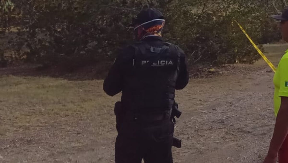 Los cuerpos fueron localizados en el kilómetro 64 en la Carretera Galeana-Doctor Arroyo. | Especial