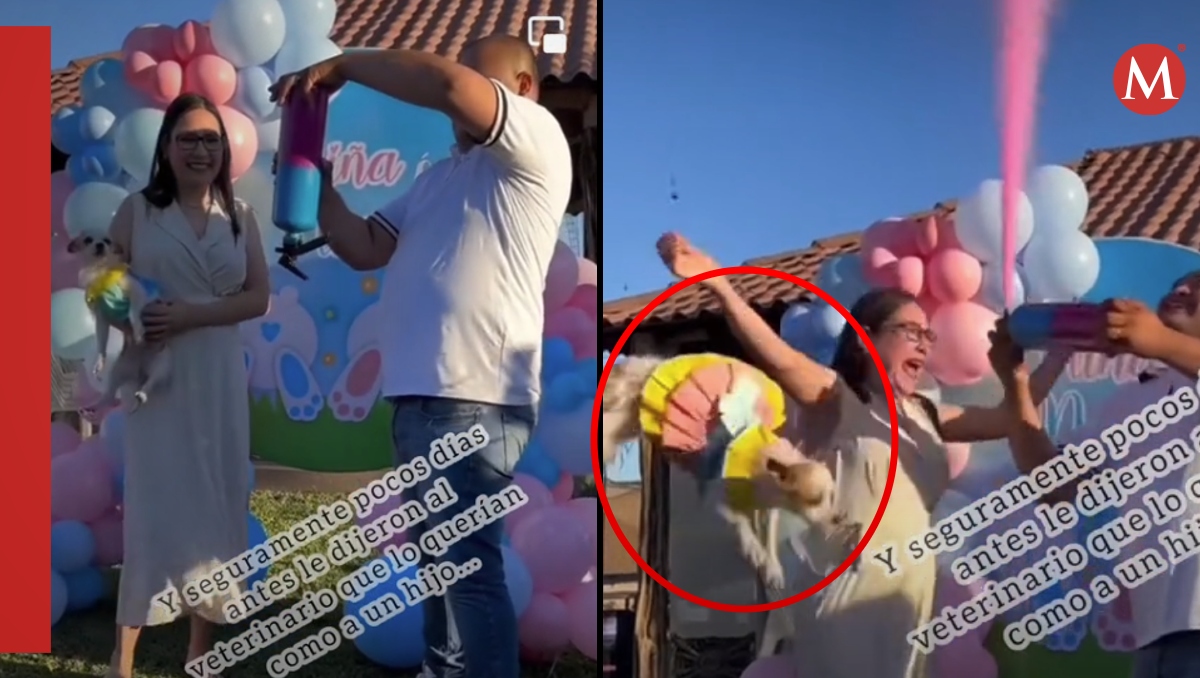 Polémica por aventar a perrito en fiesta de revelación de género | ESPECIAL