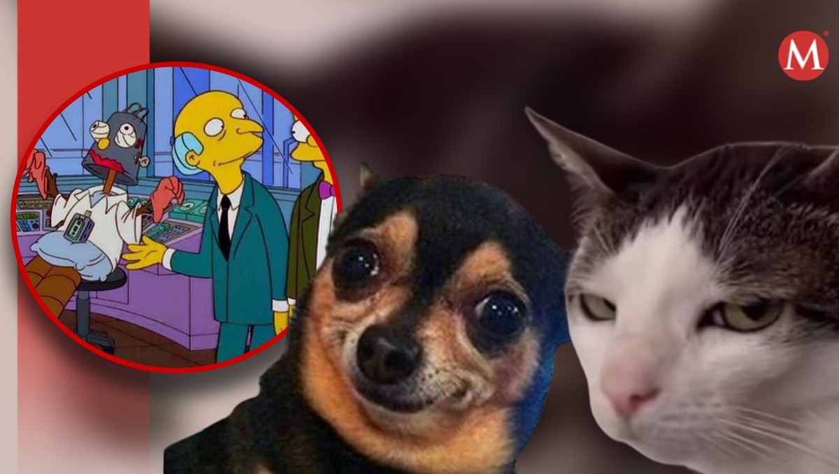 Aqupí te mostramos los mejores memes por el Día del Trabajo. | Especial
