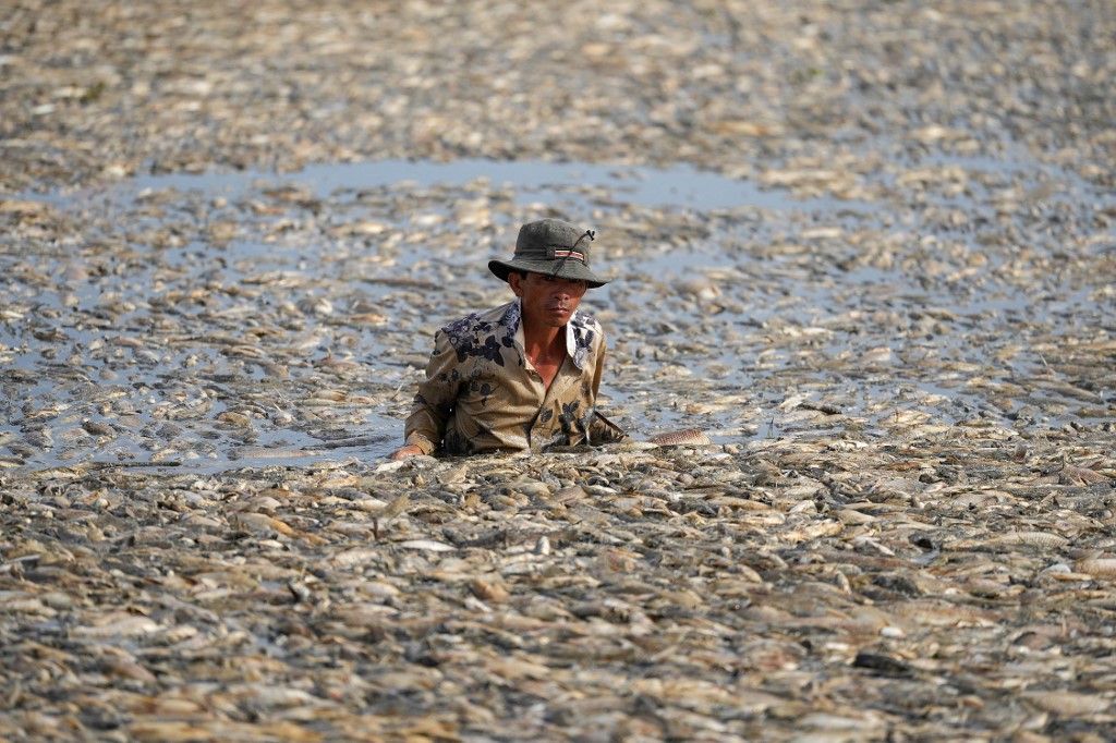 Millones de peces mueren en un embalse en Vietnam por ola de calor | AFP