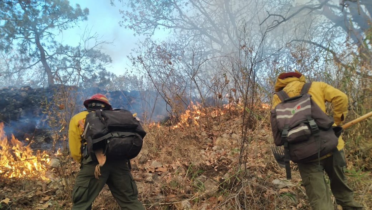Bomberos tratan de sofocar un incendio forestal (Foto: X @ReporteForestal)