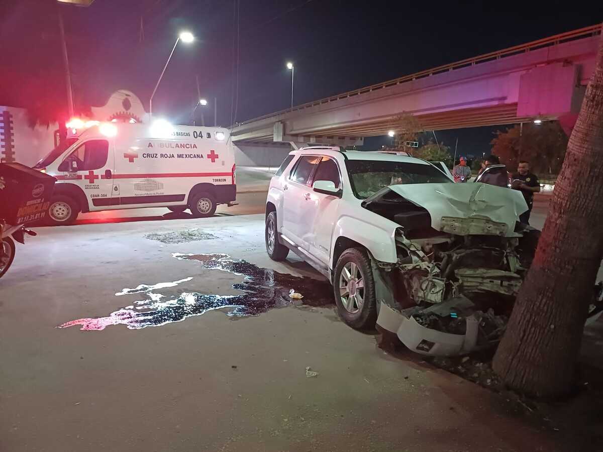 Chocó contra una palma en la carretera Torreón-Matamoros. (Especial)