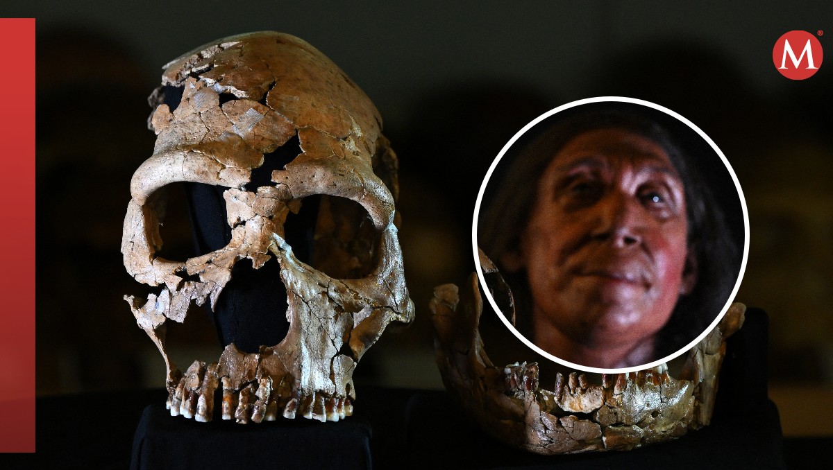El cráneo fue reconstruido y restaurado con una impresora 3D. | AFP