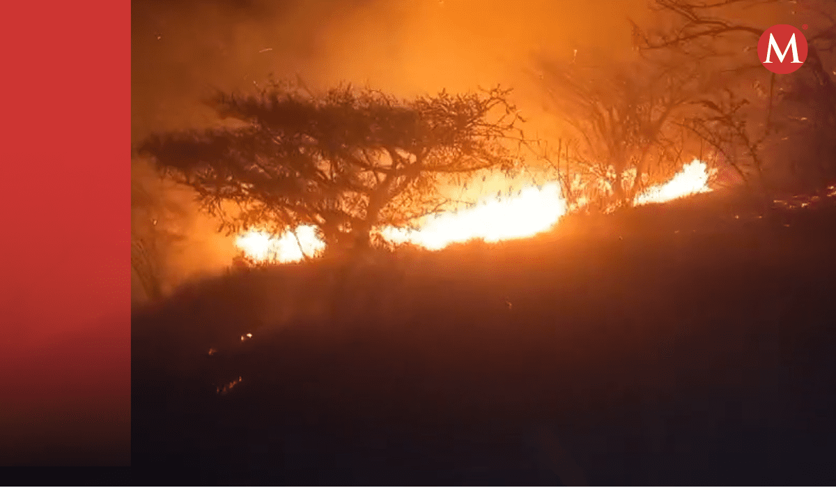 Emergencia ambiental en Oaxaca: Incendios forestales amenazan comunidades | Especial