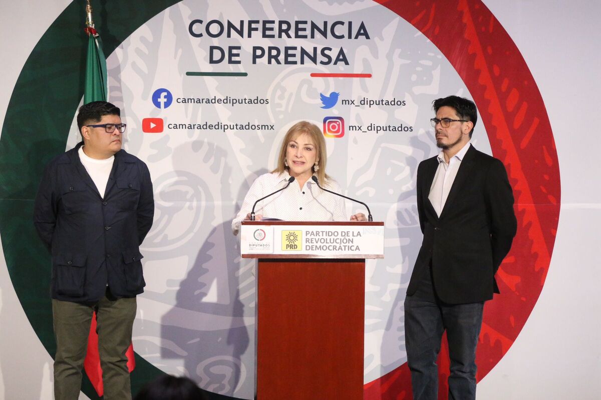 Gabriela Sodi, diputada del PRD | Especial