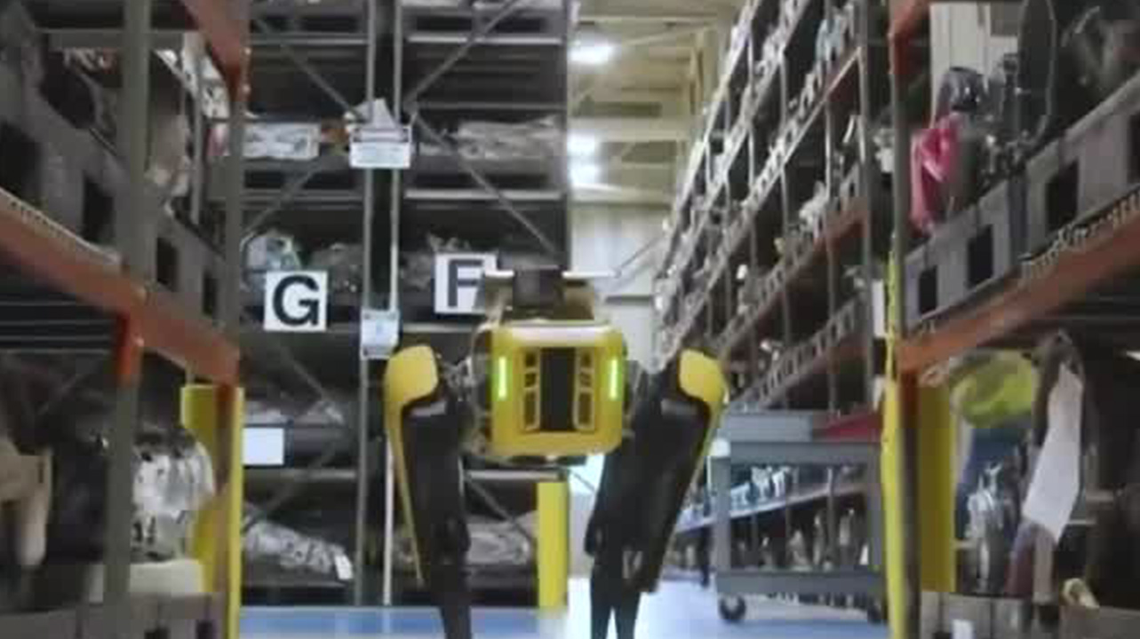 ¿Cómo cambiará la economía mexicana con la Inteligencia Artificial? | Radiografía de Negocios