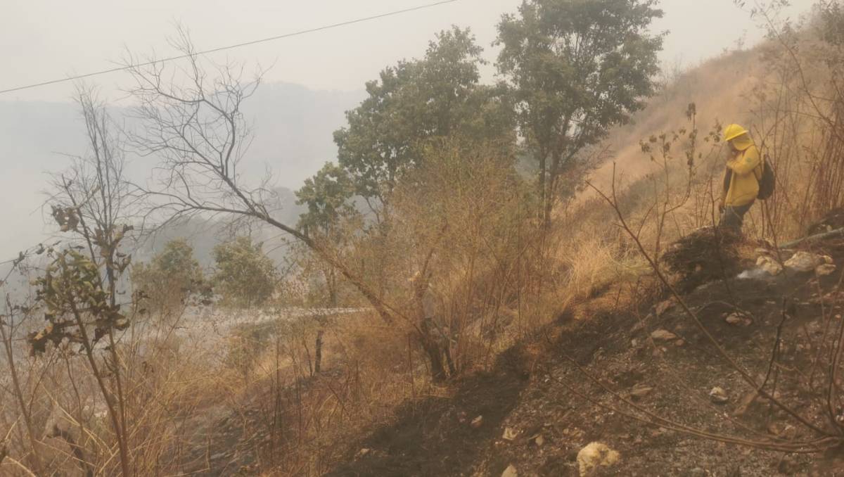 Continúa combate de incendio en Tejupilco y Luvianos| Especial