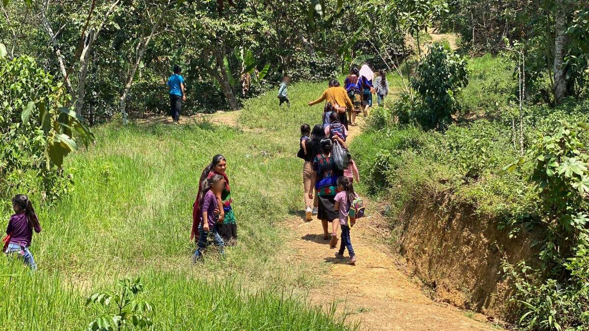 La violencia que se ha agudizado en el municipio de Pantheló. | Especial